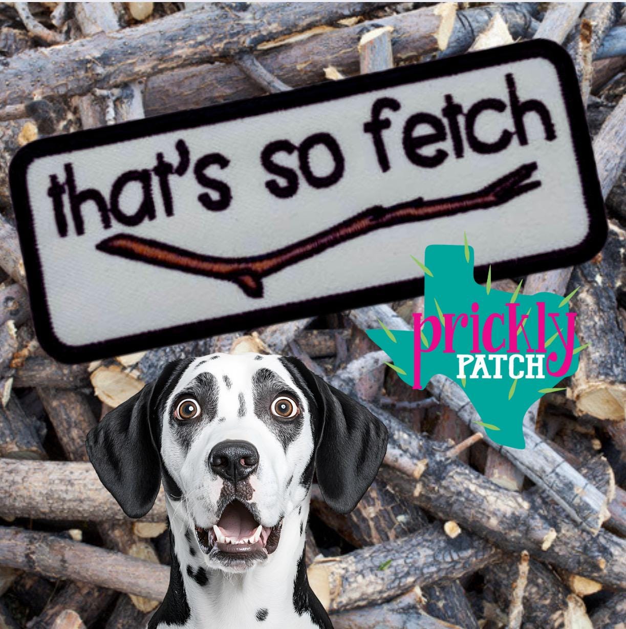 That’s So Fetch Patch