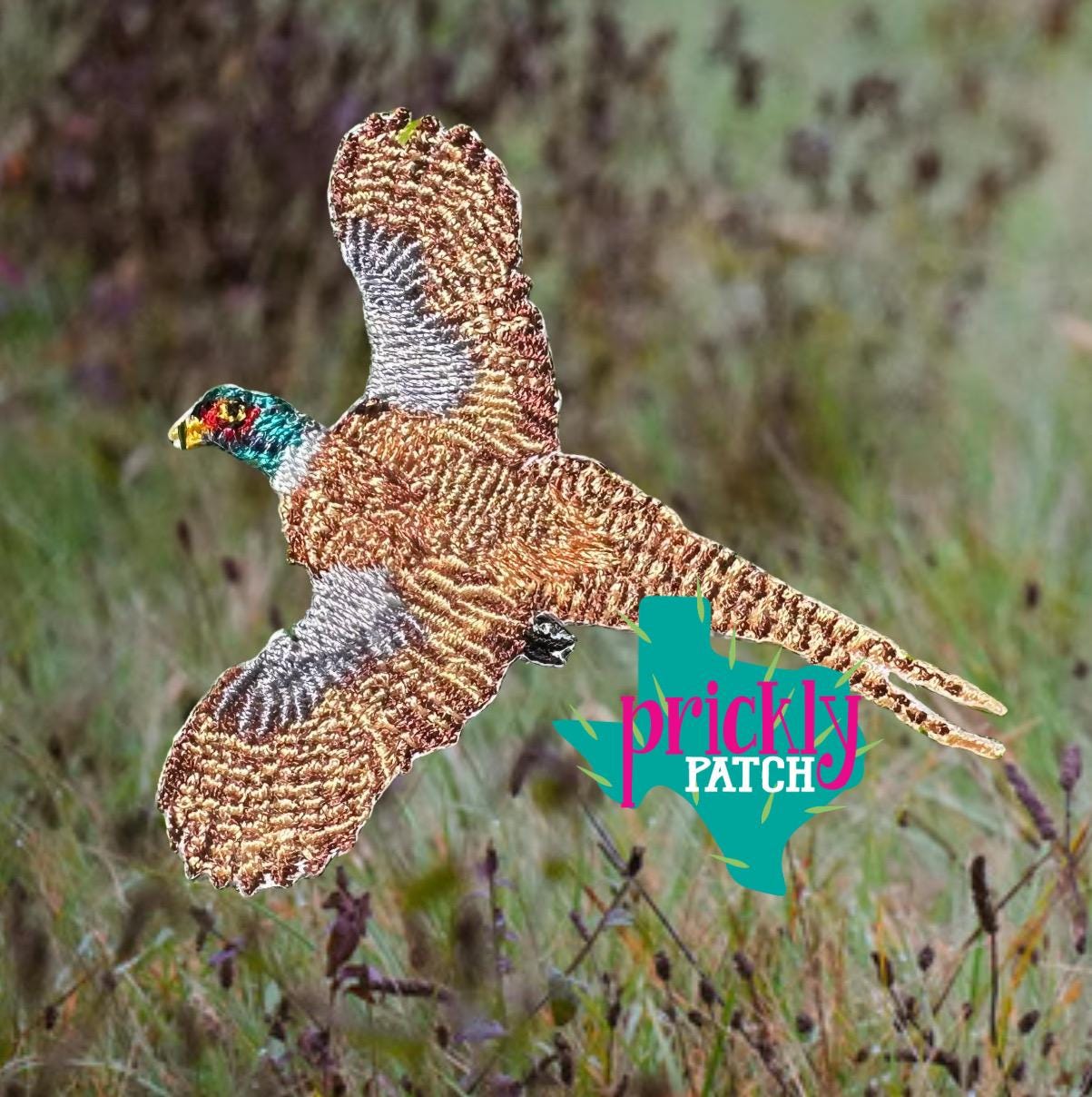 Pheasant Patch