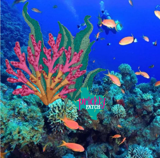 Coral Patch