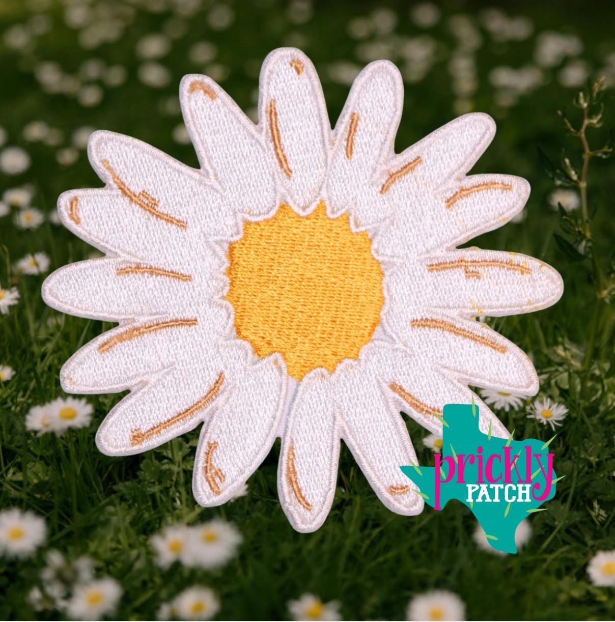 Daisy Flower Patch